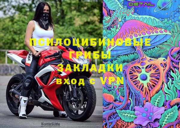 а пвп мука Абаза